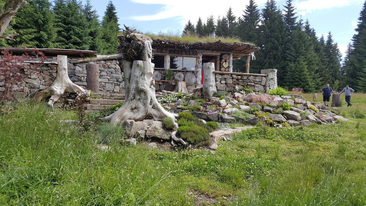 Chata Plesivka Abertamy Exterior photo
